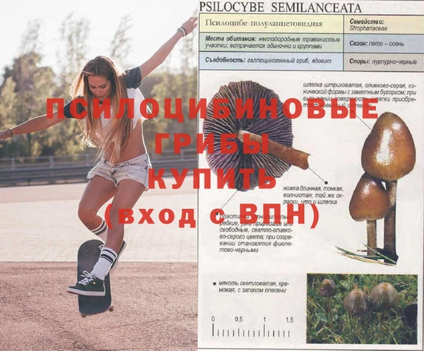mdpv Верхнеуральск