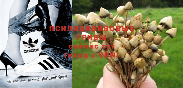 круглые Верея