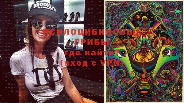 spice Верхний Тагил